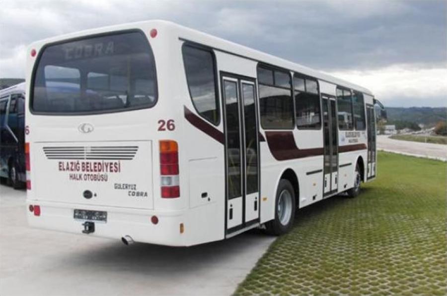  Guleryuz Cobra GM-220 2009 года  (фото 2 из 2)